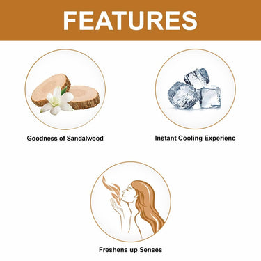 https://cdn.shopify.com/s/files/1/1857/6931/products/gV74CNEPzV.jpg?v=1625043426